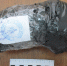 Двое друзей из Смоленска организовали международный наркобизнес - Смоленск 2.0