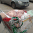 27WrhOFjxrU - Смоленская народная газета