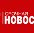 В городе Вязьма введен карантин - Смоленская газета