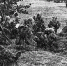 От Советского Информбюро: 8 мая 1942 года - Смоленская газета