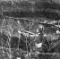 От Советского Информбюро: 10 мая 1942 года - Смоленская газета
