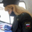 Должник оплатил 254 штрафа ГИБДД после ограничения по банковским счетам - УФССП