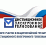 Систему дистанционного электронного голосования протестируют с 12 по 14 мая - Газета Рабочий Путь