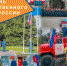 22 августа – День Государственного флага Российской Федерации - МЧС