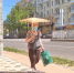 В Смоленской области столбики термометров снова поднимутся - Газета Рабочий Путь