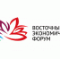 На Восточный экономический форум во Владивосток готовы приехать делегаты из недружественных стран - Смоленская газета
