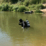 водоём в карьере Ашково 2.7.2022, тело 15-летней девочки, водолаз (фото 67.mchs.gov.ru) - О чём Говорит Смоленск