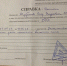 В смоленском райцентре собака серьезно покусала ребенка - соцсети - Газета Рабочий Путь