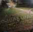 «Двор — минное поле». Смоляне возмущены местом выгула собак - SmolDaily.Ru