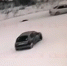 История о рославльском «живодере» получила неожиданное продолжение - Смоленская народная газета
