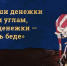 1.png - УМВД Смоленской области
