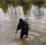 На Смоленщине готовят к купальному сезону пляжи и водоемы - Смоленск 2.0