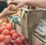 рынок торговля ярмарка продажа - О чём Говорит Смоленск