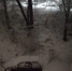 1000012313 - О чём Говорит Смоленск