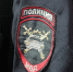 Под Смоленском равоохранители задержали мигранта, находящегося в федеральном розыске - Смоленск 2.0
