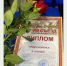 Смоленск занял I место в региональном конкурсе в области молодежной политики - GlavnayaTema.Com