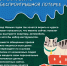3_114-800x600.jpg - УМВД Смоленской области