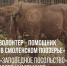 «заповедный волонтер – помощник экскурсовода в Смоленском Поозерье»: проект фонда «Заповедное посольство» объявляет о наборе участников - фото - 1 - Департамент по культуре