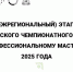 соревнования Итогового этапа Чемпионат по профессиональному мастерству - фото - 14 - Департамент по образованию и науке