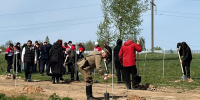 высадка сада памяти в Смоленском рубеже, фото парка военной истории - О чём Говорит Смоленск