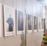 В Смоленске до 11 мая проходит фотовыставка «Поколения Победителей» - Смоленская газета