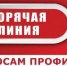 всероссийская горячая линия по профилактике клещевого энцефалита и других инфекций, передающихся клещами - фото - 1 - Департамент по внутренней политике