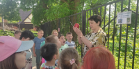 «В тридевятом царстве, в Пушкинском государстве» (6+) - ЦБС г. Смоленска