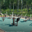 Под Смоленском привели в порядок места для отдыха и спорта - Смоленск 2.0