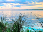 водоём, лето