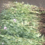 IMG-20250728-WA0009.jpg - УМВД Смоленской области