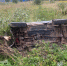 Image_2025-09.jpeg - УМВД Смоленской области