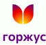 Смолян приглашают принять участие в онлайн акции «Горжусь я городом своим» - Город Смоленск