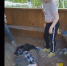 На Смоленщине вступил в силу приговор по делу об избиении девочки в реабилитационном центре - Смоленск 2.0