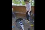 На Смоленщине вступил в силу приговор по делу об избиении девочки в реабилитационном центре