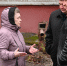 Смолянка приютила в квартире 20 домашних питомцев и вызвала гнев соседей - Смоленск 2.0