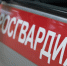 Смоленские росгвардейцы задержали подозреваемую в серии краж - Росгвардия