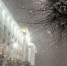 В Смоленской области ударят морозы до -26°C - SmolDaily.Ru