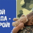 На Смоленщине проходит конкурс сочинений «Мой папа – Герой» - Смоленск 2.0