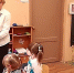 «Томка и друзья - вместе навсегда!» (6+) - ЦБС г. Смоленска