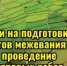 Информационное сообщение о начале приема документов от муниципальных округов Смоленской области на предоставление в 2026 году субсидии на подготовку проектов межевания и на проведение кадастровых работ - Министерство сельского хозяйства и продовольствия