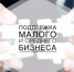 В отдел по экономике и инвестиционной деятельности Администрации обращаются физические лица и самозанятые с вопросами участия в грантовой программе «Первый старт» - Администрация МО Смоленский район