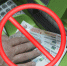https://mvd.ru/upload/site68/document_news/052/470/993/MOShENNIKI_-_kopiya.jpg - УМВД Смоленской области