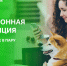 Электронную квитанцию получил — через цифровые сервисы оплатил - О чём Говорит Смоленск