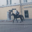 Видео: В Смоленске замечен всадник на коне - Смоленск 2.0