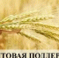 информационное сообщение о проведении отбора на предоставление грантов - фото - 1 - Администрация МО Смоленский район