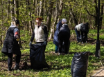 Смолянам назвали даты субботников в сентябре
